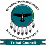 Full Size Tribal Council logo - transparen