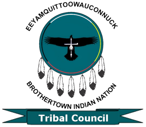 Full Size Tribal Council logo - transparen